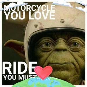 Meet your Posher, George